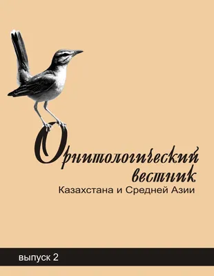 Тур \"Саксаульная сойка\" (18 апреля - 28 апреля 2021). Бёрдинг-туры в  Казахстане. Птицы Казахстана.