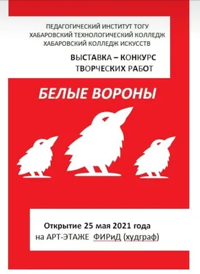 В Хабаровске суд обязал сотового оператора «Мегафон» заняться защитой птиц  от «убийственного» электричества - goldenmost.ru