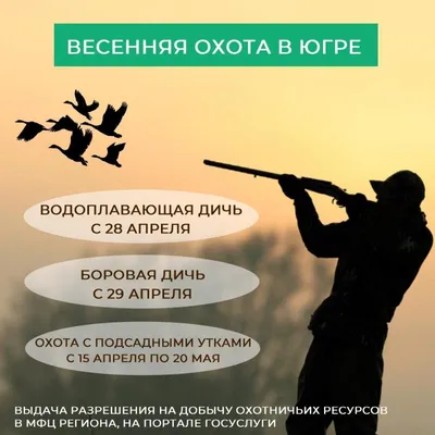 Аннотированный список птиц международного полевого стационара \"Мухрино\" и  окрестностей, Ханты-Мансийский автономный округ - Югра (западная Сибирь) –  тема научной статьи по биологическим наукам читайте бесплатно текст  научно-исследовательской работы в ...