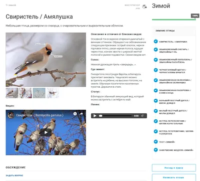 Вебинар “Птицы Кольского полуострова: секреты бёрдвотчинга (birdwatching)”  26 января 2017 г.