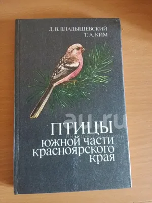 На юге Красноярского края впервые заметили чёрного дрозда — Новости  Красноярска на 7 канале