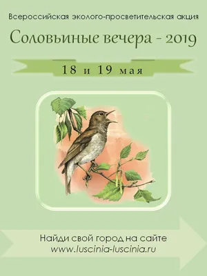 Пеликан. Крупнейшая птица Зауралья. | Чудеса родного края (ГЕО 45). | Дзен