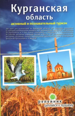 Эксперты рассказали, зачем подкармливать городских птиц зимой