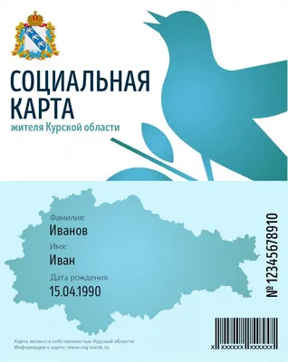 Птицы | Центрально-Черноземный государственный заповедник имени профессора  В.В. Алехина