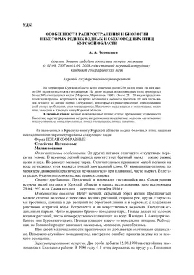 Городской дистанционный экологический конкурс творческих работ «Птицы –  наши друзья» - 2023 | Статьи о мероприятиях | Статьи | МБУ ДО ''Дворец  пионеров и школьников г.Курска''