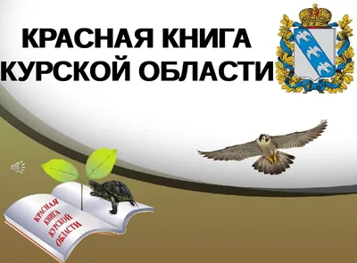 В Курской области стартует вторая региональная акция «Покормите птиц!» »  46ТВ Курское Интернет Телевидение