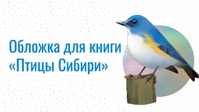 Иллюстрация 14 из 38 для Птицы Урала, Приуралья и Западной Сибири.  Справочник-определитель - Вадим Рябицев |