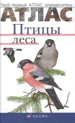 Певчие птицы. Обитатели лесов и полей | Куценко Михаил Евгеньевич - купить  с доставкой по выгодным ценам в интернет-магазине OZON (253329039)