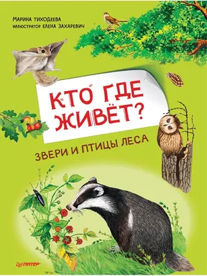 ДИДАКТИЧЕСКИЕ КАРТОЧКИ \"ПТИЦЫ ЛЕСА\" | Птицы, Дикие животные, Животные