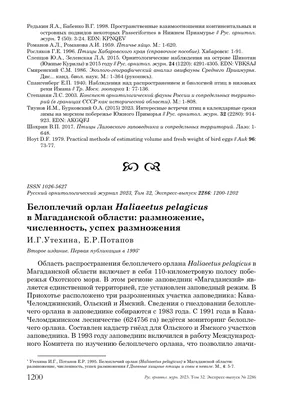 Магаданская птицефабрика «Дукчинская» запустила новый цех по выращиванию  птицы » КОЛЫМА.RU Новости Магадана и Магаданской области