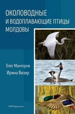 Птицы Молдовы | PDF