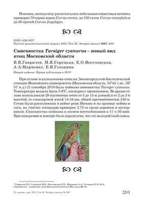 О дятлах Московской области | Пикабу