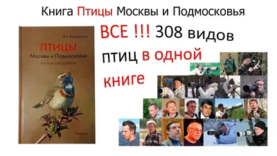 В Подмосковье прилетят зимовать птицы - В регионе - РИАМО в Реутове