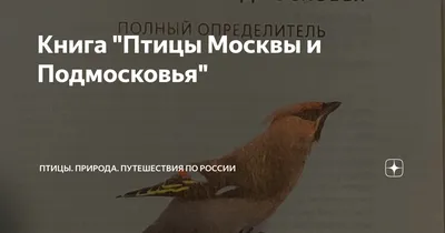 Книга \"Птицы Москвы и Подмосковья. Полный определитель\". В.А. Вишневский |  ГрифБук