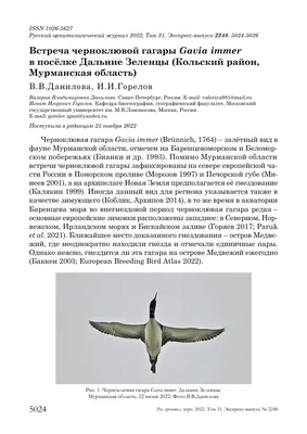 Министерство образования и науки Мурманской области приглашает принять  участие в онлайн-проектах