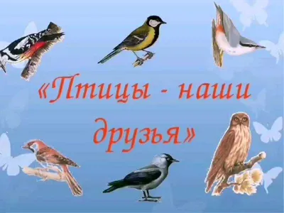 В Нижегородской области инспекторы Росприроднадзора спасают краснокнижную  сову » Новости Нарьян-Мара сегодня – Последние события в НАО –  Информационное агентство NAO24.RU