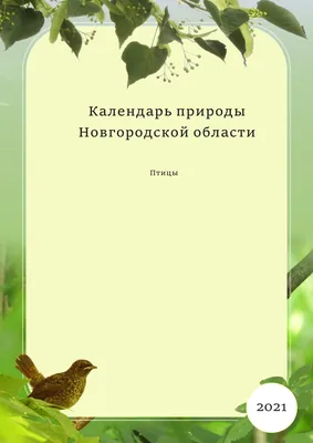 22.12.2023. Поддорье. | Птицы Новгородской области | ВКонтакте