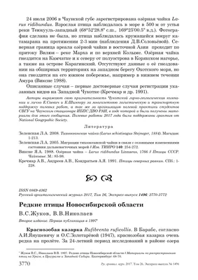 Проект в средней группе «Зимующие птицы Новосибирской области» (10 фото).  Воспитателям детских садов, школьным учителям и педагогам - Маам.ру