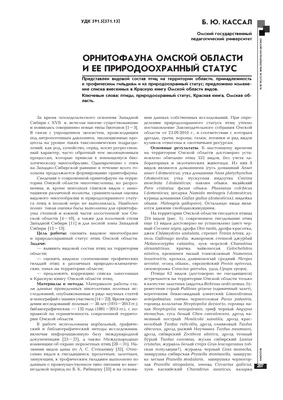 В омском сквере к Новому году разместят Зиму и птиц под куполом | Омск -информ