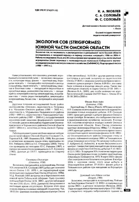 В Омской области уничтожат 1,5 млн кур из-за птичьего гриппа — РБК