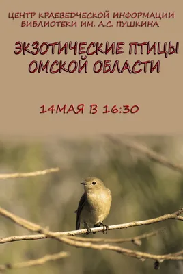 14.05.2019 г. Публичная лекция С.А. Соловьёва «Экзотические птицы Омской  области» - YouTube