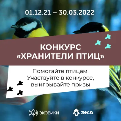 Пензенская область – в числе лидеров 2022 года по производству мяса птицы  среди субъектов РФ | РИА Пензенской области