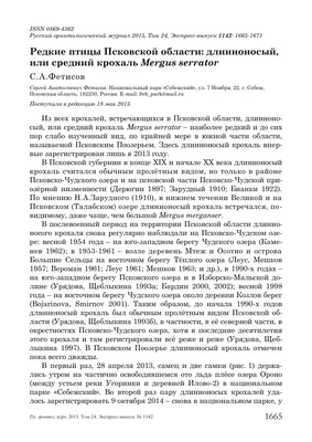 Июньское путешествие. Птицы-звери. Часть 1. | Прогулки по городу