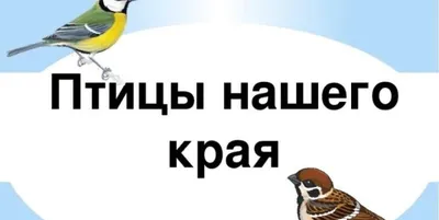 Перелетные птицы не спешат возвращаться в Томск из-за морозов | 19.04.2023  | Томск - БезФормата