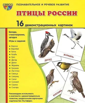 Демонстрационные картинки «Птицы России» - купить в интернет магазине