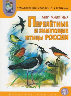 Тематический словарь в картинках. Мир животных. Перелетные птицы |  Дефектология Проф