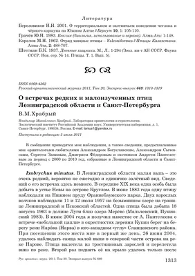 Птицы Санкт-Петербурга и Ленинградской области: фото с названиями и  описаниями