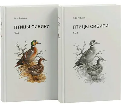 Обыкновенный поползень (Sitta europaea). Птицы Сибири. | Поползень,  Домашние птицы, Птицы