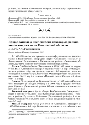 В Крещенский сочельник в Смоленской области прогнозируют до -23°С | Природа  и животные | ОБЩЕСТВО | АиФ Смоленск