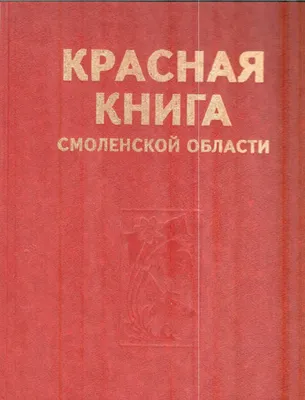 Раненого лебедя удалось спасти в Смоленской области | Природа и животные |  ОБЩЕСТВО | АиФ Смоленск