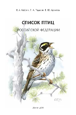 Попугаи, амадины, канарейки и другие птицы в доме: несколько правил их  содержания, которые не всегда соблюдаются | Заметки зооработника | Дзен