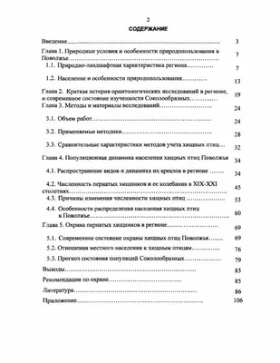 В Ульяновской области нашли серого снегиря, сирийского дятла и шесть видов  пауков - KP.RU