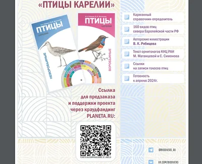 В. К. Рябицев. «Птицы Сибири» в 2 т. – Издательство \"Кабинетный ученый\"