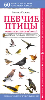 Книга Домашние и Дикие птицы Средней полосы. Зимующие и перелётные - купить  развивающие книги для детей в интернет-магазинах, цены на Мегамаркет | 0109