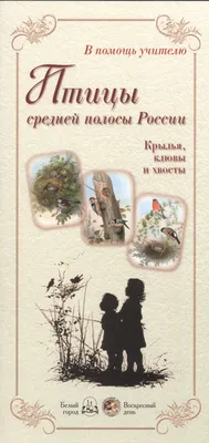 Певчие птицы. Средняя полоса европейской части России. Определитель с  голосами птиц Владимир Архипов, Евгений Коблик - купить книгу Певчие птицы. Средняя  полоса европейской части России. Определитель с голосами птиц в Минске —