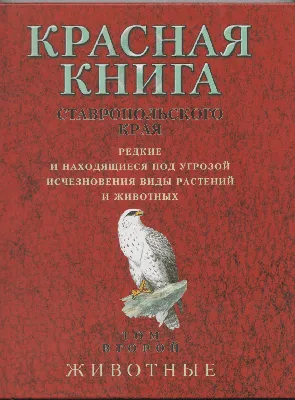 Прокуратура начала проверку после массовой гибели птиц на Ставрополье ::  1777.Ru