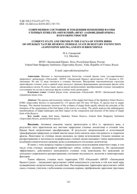 Евпаторийская здравница :: Новости » Экология » Журавль «человекообразный»…  видели?