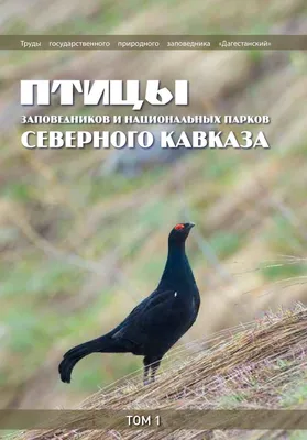 PDF) AGRO-FORESTRY AS A FACTOR OF TRANSFORMATION OF AVIFAUNA OF PLAINS OF  CRIMEA