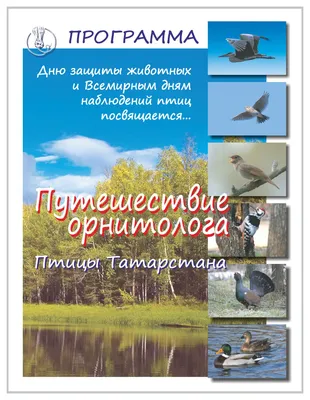 Орнитолог София Хохлачева: «Часто говорят, что птиц для наблюдения в городе  недостаточно – это неправда» - Новости - Официальный портал Казани