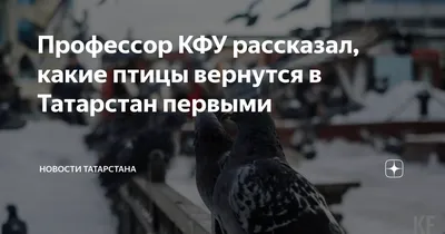 Государственный комитет Республики Татарстан по биологическим ресурсам