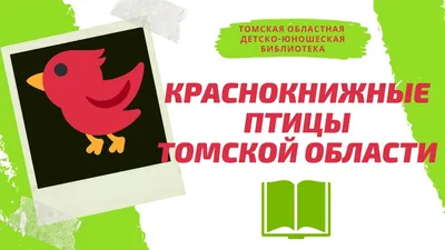 44 часа в полете: птицы возвращаются в Томск после зимовки — TOMSK.RU