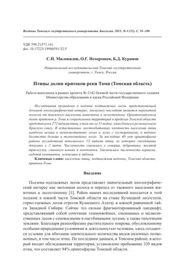 Таёжный сверчок – Locustella fasciolata (G.R. Gray, 1860) « Красная книга Томской  области | ОГБУ \"Облкомприрода\"