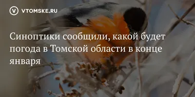 Птицы долин притоков реки Томи (Томская область) – тема научной статьи по  биологическим наукам читайте бесплатно текст научно-исследовательской  работы в электронной библиотеке КиберЛенинка