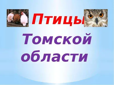 Подведены итоги Открытого Фестиваля творчества «Весенний полет» - ТОУНБ им.  А.С.Пушкина