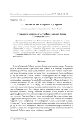 Презентация экологического проекта \"Птицы Томской области\"