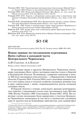 В Белгородской области застраховали 2,4 млн свиней и 38 млн птиц — Новости  Белгорода и области - Бел.ру